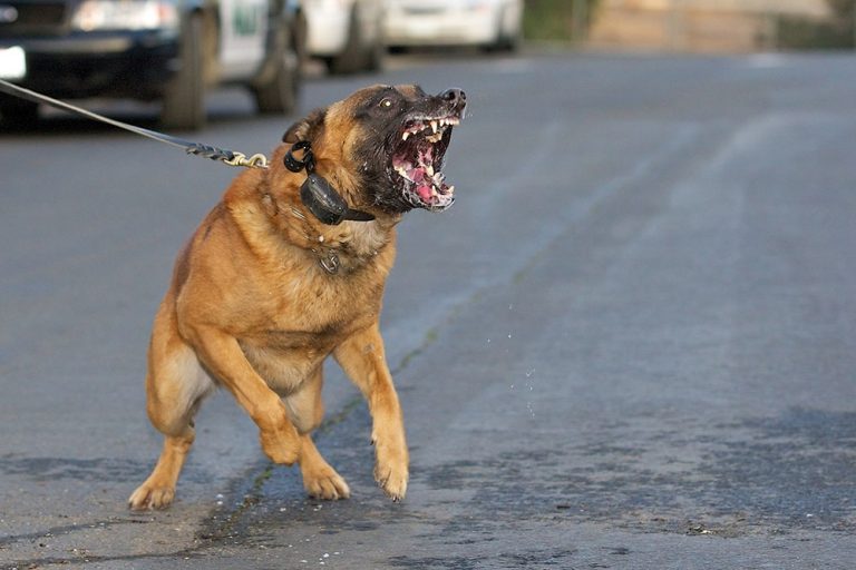 hatfield law llc 1 768x512